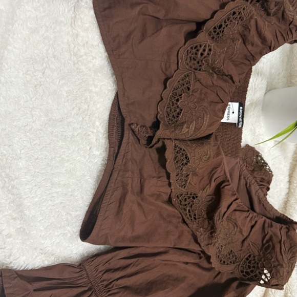 Express Brown Ruffled Blouse - Picture 3 of 5